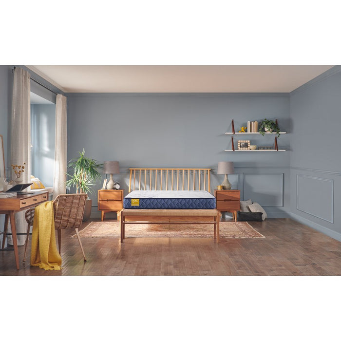 Erie Foam Mattress