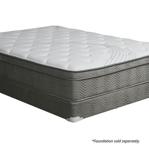 AFTON White/Gray 12" Euro Box Pocket Coil, Cal.King, E king, Full, & Queen - Big's Furniture (NV) - Multi Location