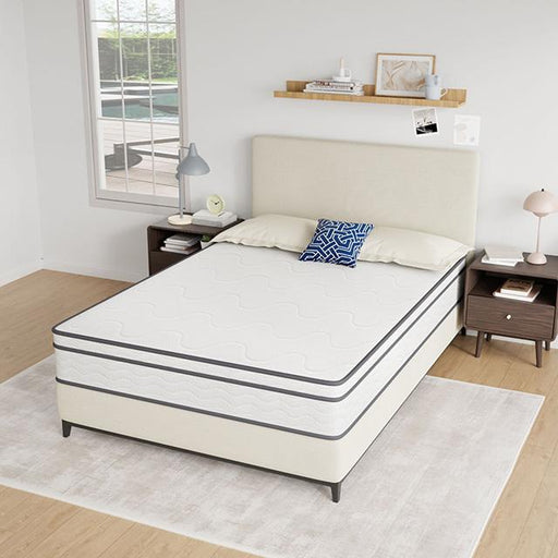 Catmint 10" Full Innerspring Mattress - Big's Furniture (NV) - Multi Location
