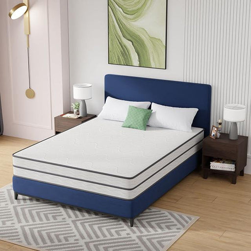 Catmint Mattress - Big's Furniture (NV) - Multi Location