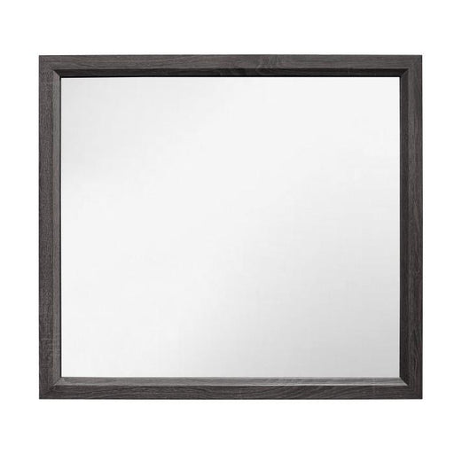 Davi Mirror in Gray 1645-6 - Big's Furniture (NV) - Multi Location