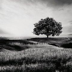 Deborland Wall Art - Big's Furniture (NV) - Multi Location