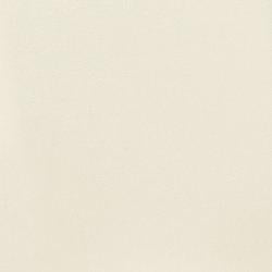 Kimonte Dining Chair Set - Big's Furniture (NV) - Multi Location