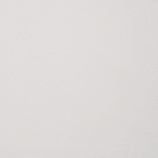 ALISHA Side Chair (2/CTN) - Big's Furniture (NV) - Multi Location