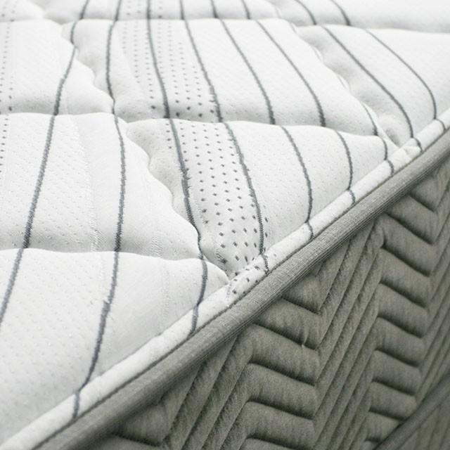 EDREA White/Gray 10" Tight Top Pocket Coil, Queen - Big's Furniture (NV) - Multi Location