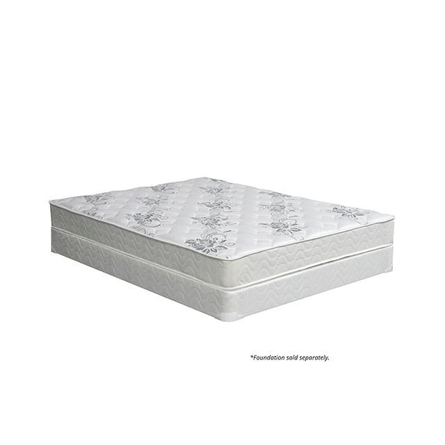 ELBERTYNA White 8" Tight Top Mattress, Full - Big's Furniture (NV) - Multi Location