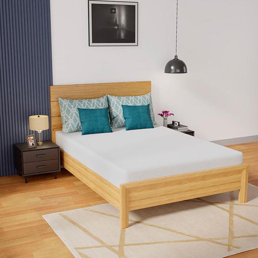 Coreopsis 8" Full Memory Foam Wave Comfort - Big's Furniture (NV) - Multi Location