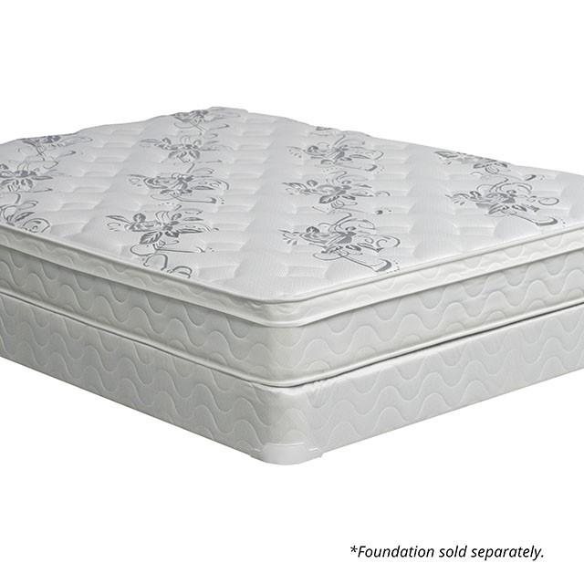 JALEN White 9" Euro Top Mattress, Queen - Big's Furniture (NV) - Multi Location