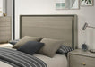 Rainier Bed Gray - Big's Furniture (NV) - Multi Location