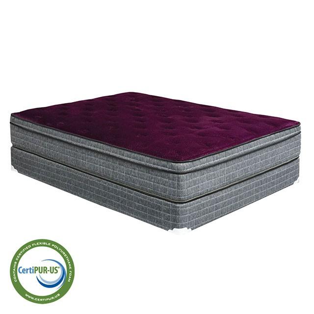 Purple/Grey 13" Euro Pillow Top Mattress Non-Flip, Full - Big's Furniture (NV) - Multi Location