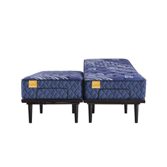 Forsyth Park Innerspring Mattress