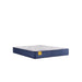 Stately Innerspring Mattress - Big's Furniture (NV) - Multi Location