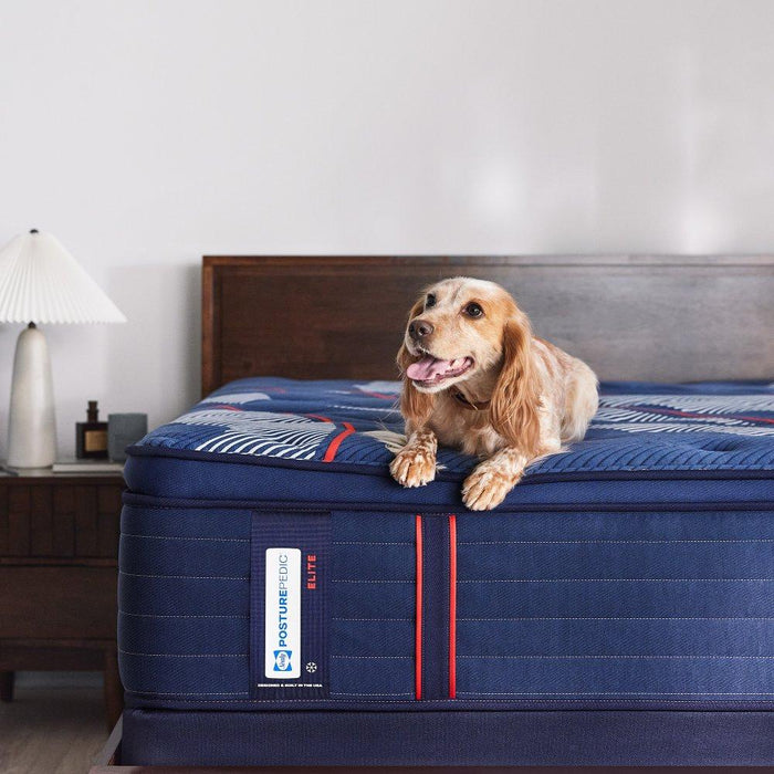 Albany II Spring Mattress