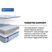 Medina II Spring Mattress - Big's Furniture (NV) - Multi Location