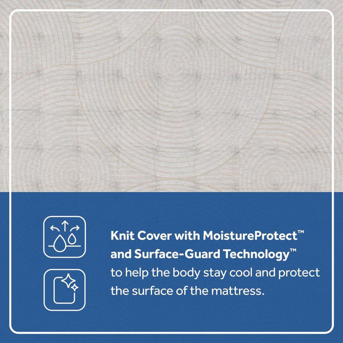 Dream Waves Spring Mattress - Big's Furniture (NV) - Multi Location