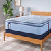 Glenshaw Spring Mattress - Big's Furniture (NV) - Multi Location