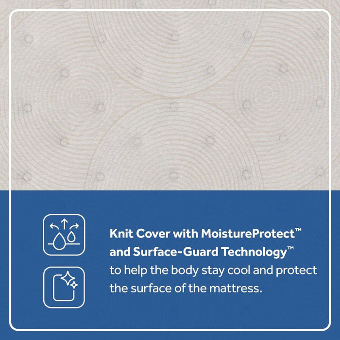 Dream Waves Spring Mattress - Big's Furniture (NV) - Multi Location