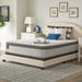 Spring Bloom EPT Mattress - Big's Furniture (NV) - Multi Location
