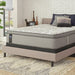 Silver Pine Innerspring Mattress - Big's Furniture (NV) - Multi Location