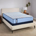 Fayette Spring Mattress - Big's Furniture (NV) - Multi Location