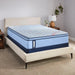 Fayette Spring Mattress - Big's Furniture (NV) - Multi Location