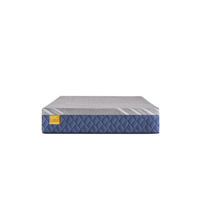 Park Plaza Hybrid Mattress - Big's Furniture (NV) - Multi Location