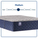 Moreland Ave Spring Mattress - Big's Furniture (NV) - Multi Location