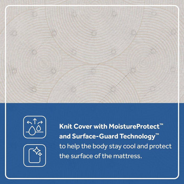 Dream Waves Spring Mattress - Big's Furniture (NV) - Multi Location