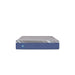 Midnight Cove Foam Mattress - Big's Furniture (NV) - Multi Location