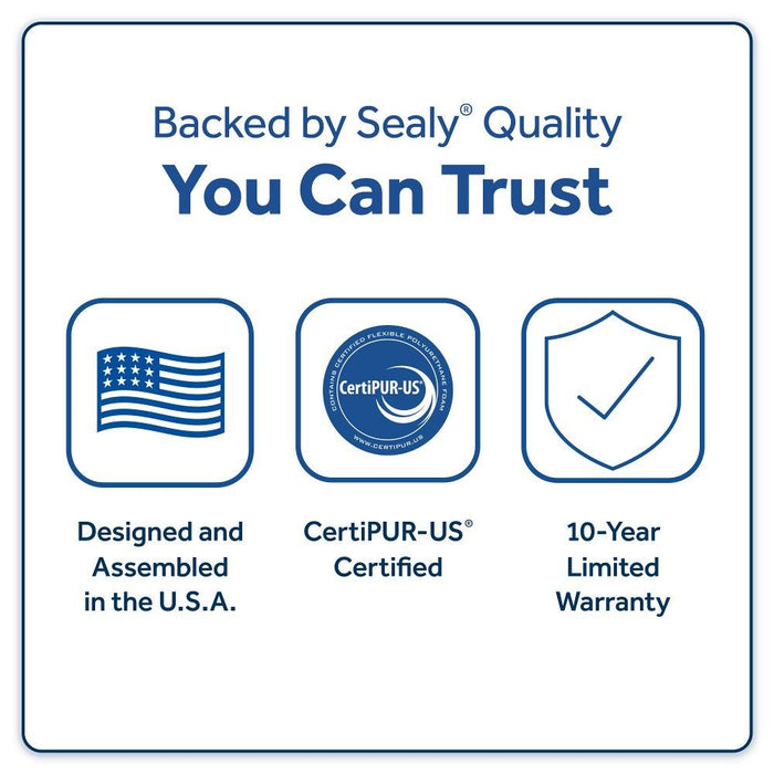 Safa Park Spring Mattress - Big's Furniture (NV) - Multi Location