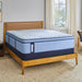 Newland Spring Mattress - Big's Furniture (NV) - Multi Location