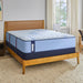 Newland Spring Mattress - Big's Furniture (NV) - Multi Location