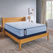 Maida Spring Mattress - Big's Furniture (NV) - Multi Location