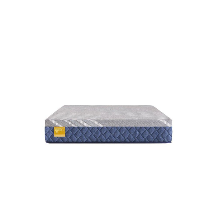 Royal Park Hybid Hybrid Mattress - Big's Furniture (NV) - Multi Location