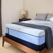 Plainfield Hybrid Mattress - Big's Furniture (NV) - Multi Location
