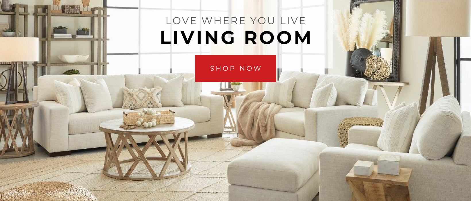 Big's Furniture